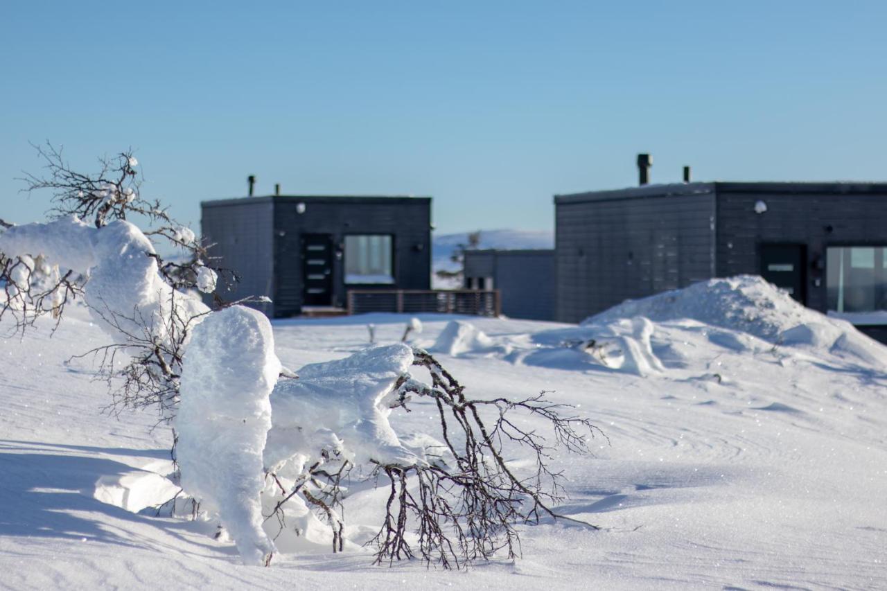 Top Star Saariselkae - Arctic Glass Cubes Εξωτερικό φωτογραφία